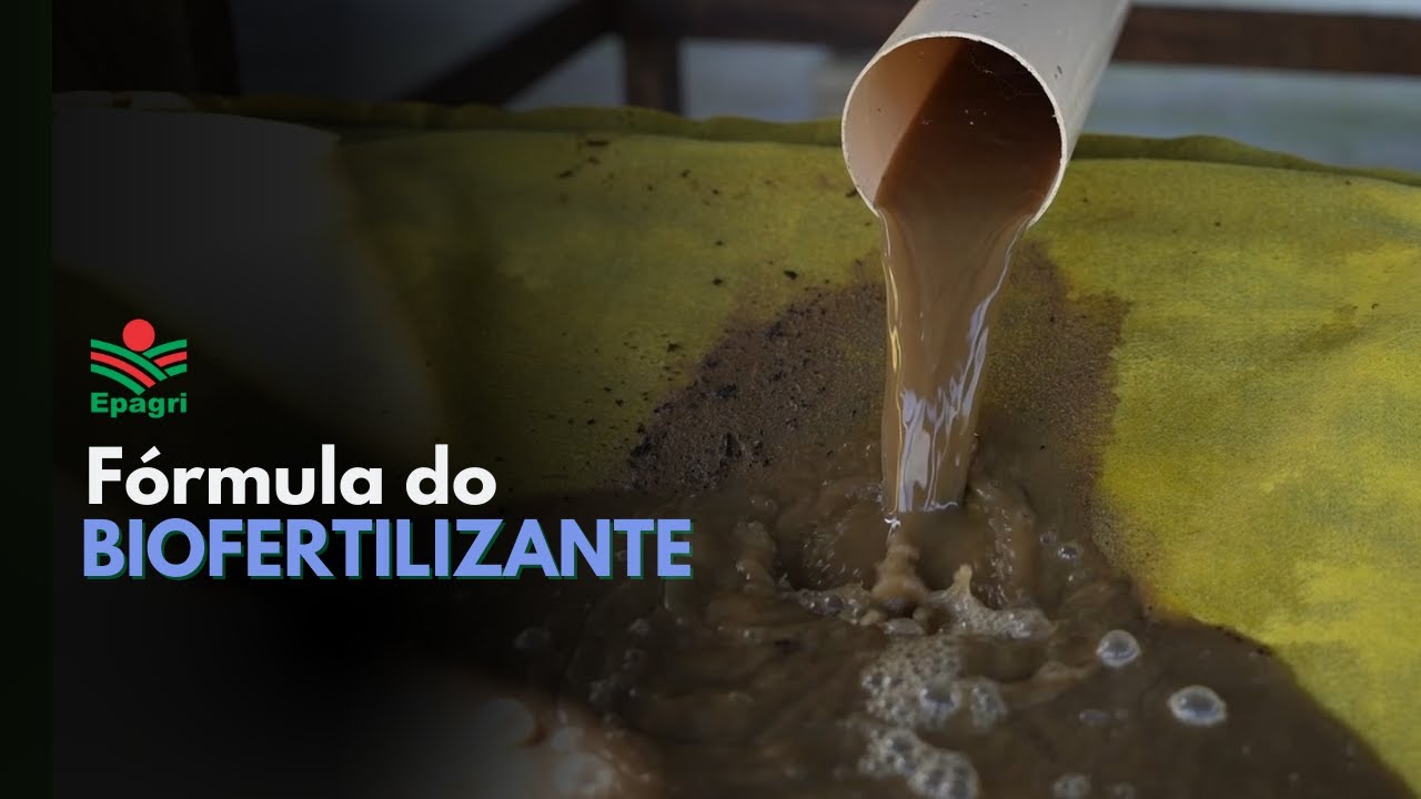 Biofertilizante: como fazer e aplicar