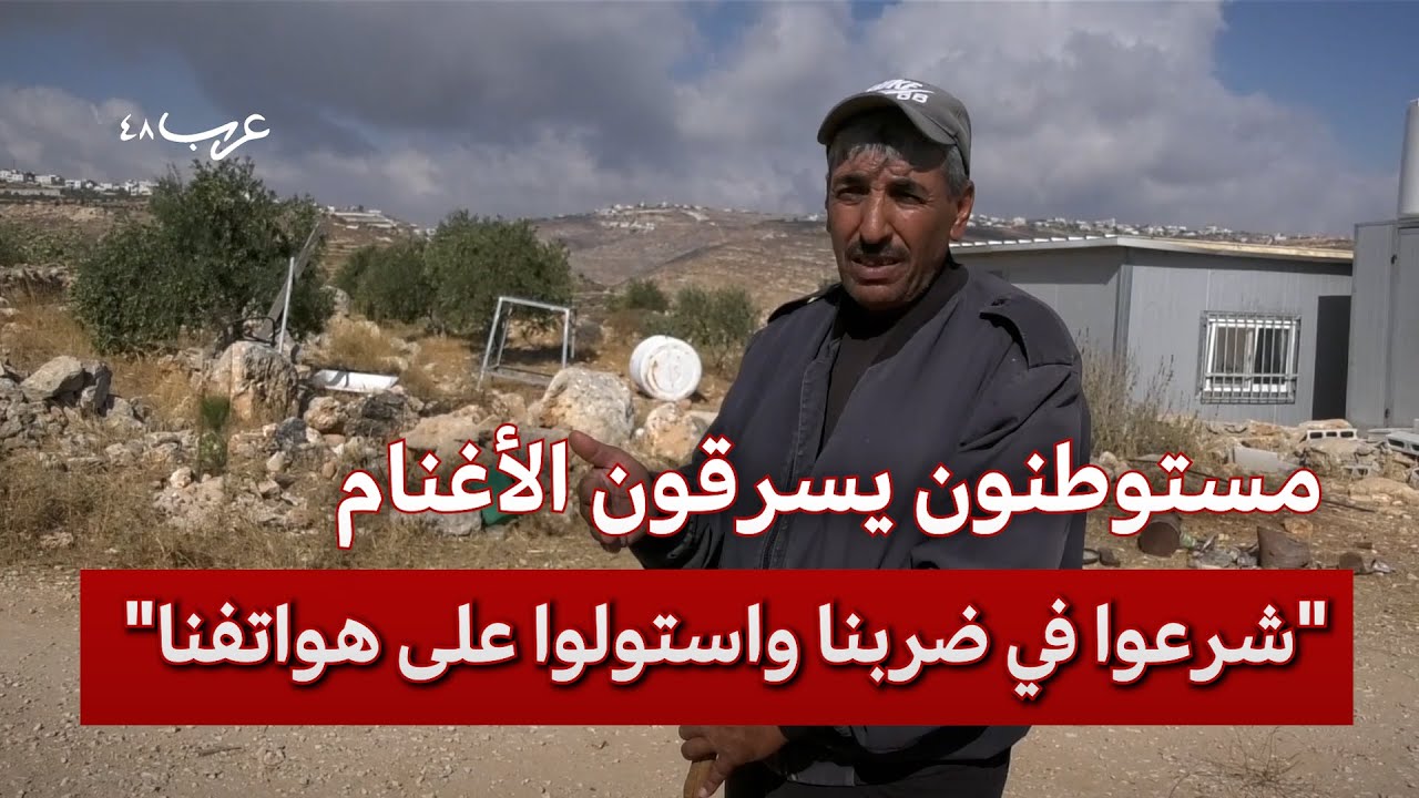 الضفة.. مستوطنون يسرقون الأغنام ويعتدون على الأهالي