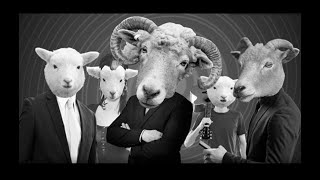 KOUNTERCLOCKWISE - SHEEPEOPLE