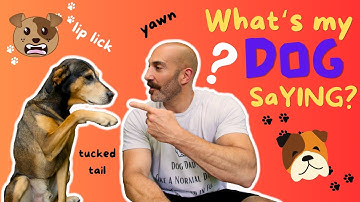 DOG 🐕 Body Language You NEED to Know | Canine Communication DECODED