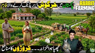 Modern Rabbit Farming in Pakistan 🐇| Profitable Agriculture Business | Kissan Ka Pakistan