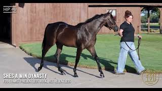 Hip 40 SHES A WIN DYNASTY Bob Moore 2011 Winner