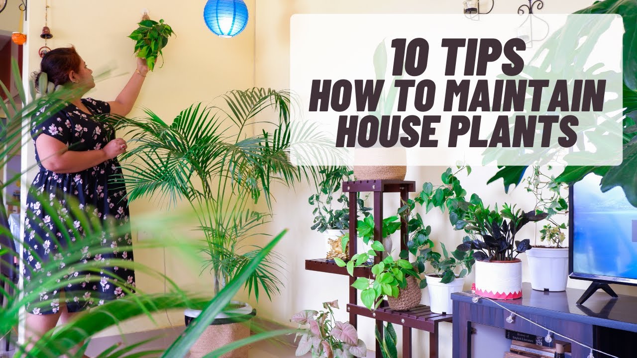 10 Secret Tips To Make Your Home Garden Flourish How To Maintain