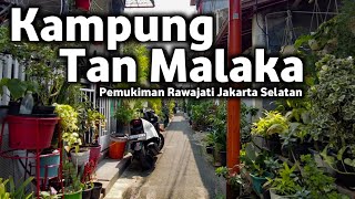 Kampung Tan Malaka‼️Gang Sempit Pemukiman Rawajati Kalibata Jakarta Selatan
