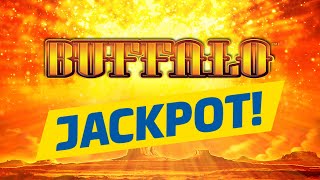 12 GOLD BUFFALO HEADS EQUAL A JACKPOT! ↪ BETTING BIG!