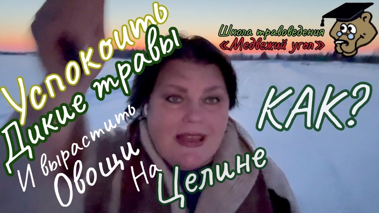 Успокоить дикие травы и вырастить овощи на целине - YouTube