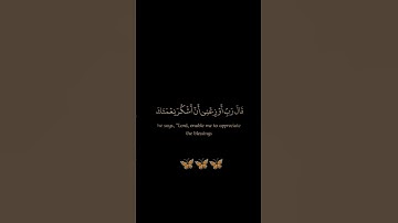 سورة الأحقاف / القارئ حمزة بوديب / تلاوة خاشعة تريح سمعك