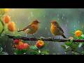 🌸 Relaxing Piano &amp; Bird Sounds | Soft Nature Sounds for Deep Sleep