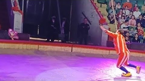 XIẾC QUÀ TẶNG TRUNG THU: TIẾT MỤC "HỀ XIẾC " ( RẠP XIẾC TW-LIÊN ĐOÀN XIẾC VN)