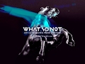 What So Not Live Stream