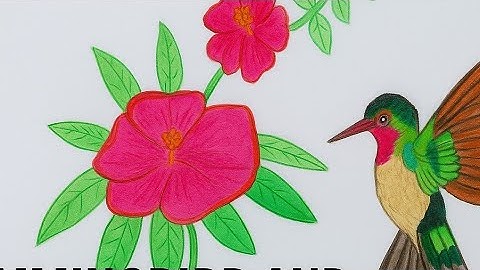 How to Draw a Hummingbird with Flowers | Easy Drawing for Beginners