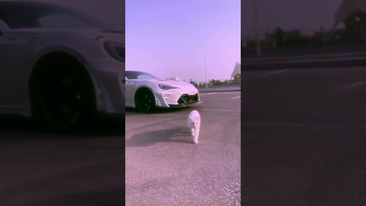 Watch Brz's Cats - ☝🏽 𝙋𝙃𝙊𝙉𝙆 𝙉𝙀𝙒 𝙏𝙍𝘼𝘾𝙆 𝙔𝙊𝙐𝙏𝙐𝘽𝙀 𝘾𝙃𝘼𝙉𝙉𝙀𝙇 🤘🏽🔥 on YouTube Watch Brz's Cats - ☝🏽 𝙋𝙃𝙊𝙉𝙆 𝙉𝙀𝙒 𝙏𝙍𝘼𝘾𝙆 𝙔𝙊𝙐𝙏𝙐𝘽𝙀 𝘾𝙃𝘼𝙉𝙉𝙀𝙇 🤘🏽🔥 on YouTube