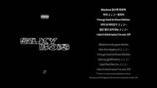 [Lyric Video] 실키보이즈 (SILKYBOIS) - BOMAYE (Explicit Ver.) (KOR/ENG)