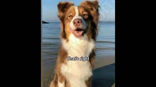 What Starts With Y And Ends With T