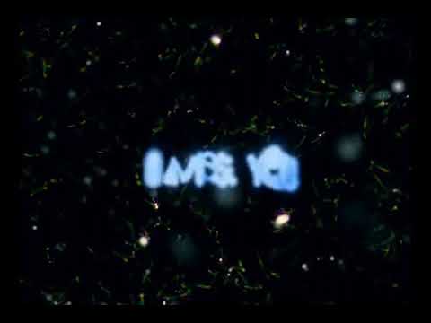Dimlite - Roo (A dedication)