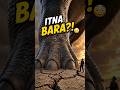 How Big Were Dinosaurs? Shocking Size Facts #dinosaur #factshorts
