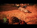 Far Cry Primal Гайд по всем животным