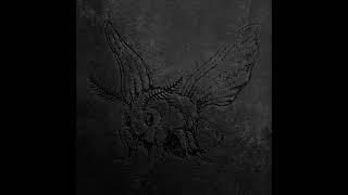 vesalius - moth (witch house)
