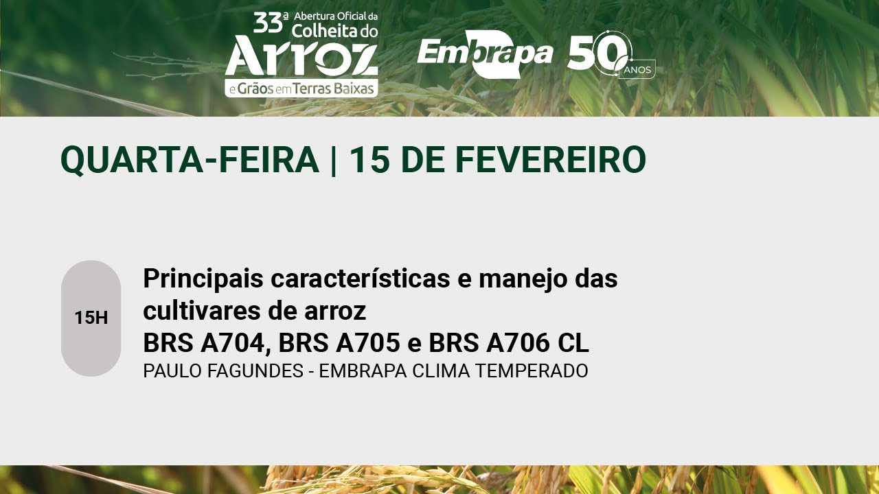 Principais características e manejo das cultivares de arroz BRS A704, BRS A705 e BRS A706 CL