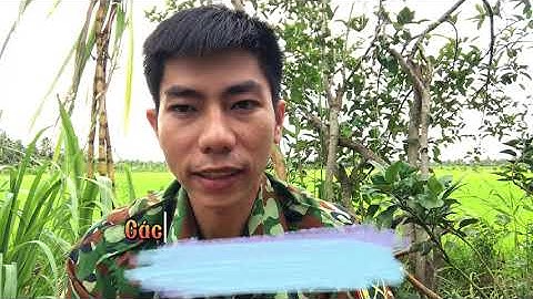 Các nghề nghiệp vào quân đội sẽ được ưu tiên phần 3!