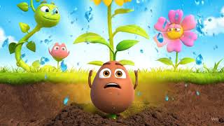 🌻 Tiny Seed's BIG Dream! | Kids Story About Never Giving Up ✨