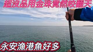 南部釣法北部有用嗎? 答案竟然是可以內~有夠誇張一隻接一隻一直拉~我釣南極蝦內可以留一點活路給我嗎? 想知道更多嗎? 歡迎收看精彩內容喔! #釣魚 #磯釣 #虱目魚 #永安漁港 #龜港 #桃園漁港