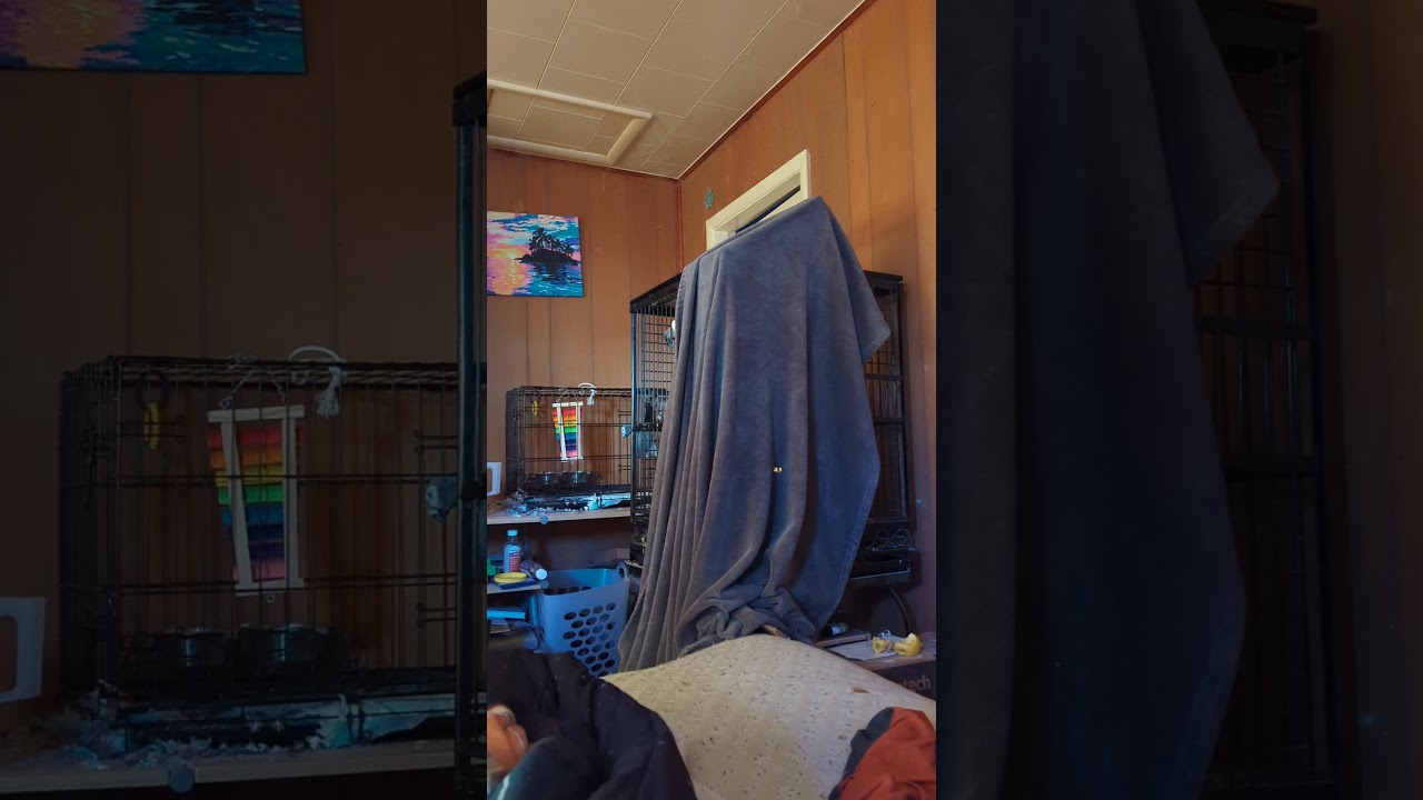 Kirby take it off the cover before I do.