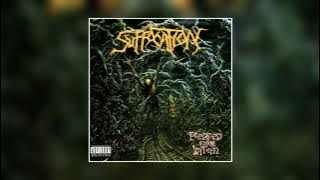 Suffocation - Pierced from Within (1995) FULL ALBUM [HQ]