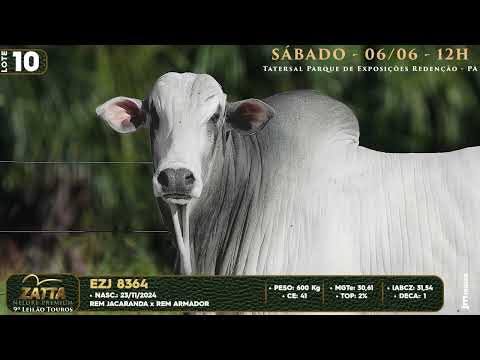 LOTE 10