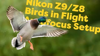 Nikon Z9/Z8 Autofocus for Birds in Flight - How I configure my camera for funky action shots!