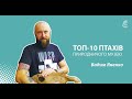 Топ-10 птахів природничого музею