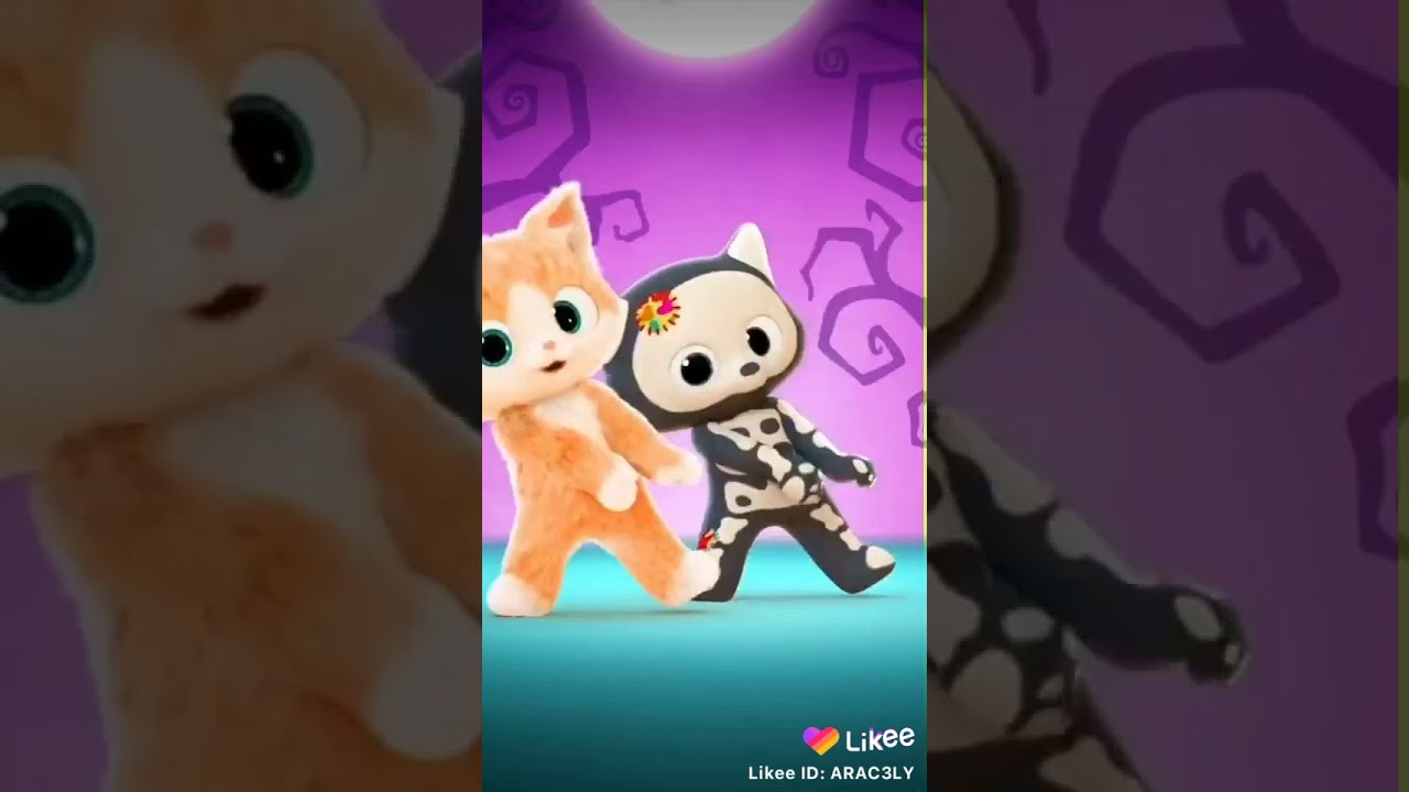 gatos bailando - YouTube