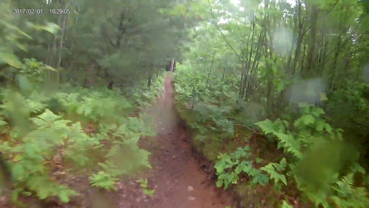 Tin Cup ORV trail Kx 100 6/3/2018 YouTube