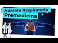 EXANI-II | Premedicina: Anatomía y Fisiología - Aparato Respiratorio