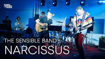 "Narcissus" - The Sensible Band @ Pixel Heaven 2023