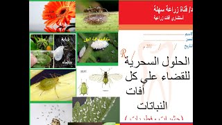 الحلول السحرية البسيطة للقضاء علي كل افات النباتات بدون مبيدات ( حشرات وفطريات )