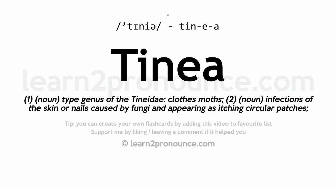 Tinea pronunciation and definition YouTube