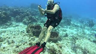 Scuba 507-1 Cozumel 
