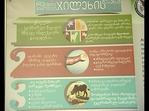 ჩვენი ფერმა - როგორ უნდა დავიცვათ თავი ბრუცელოზისა და სხვა საშიში დაავადებებისგან