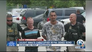 Reyna denied bond
