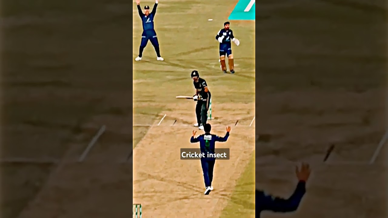 muhammad amir Bouncer to Babar azam 