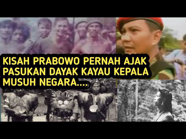 Kisah Prabowo Pernah Ajak Pasukan Dayak Kayau Kepala Musuh Negara class=