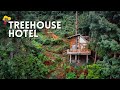 Checa Ecuador TREEHOUSE Living : Unique Hotel in Ecuador  | ECUADOR TRAVEL GUIDE