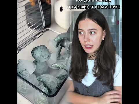 Я хочу представить вам больше интересных видео.