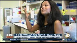 The Effects Of Zika On The Human Brain Kgtv