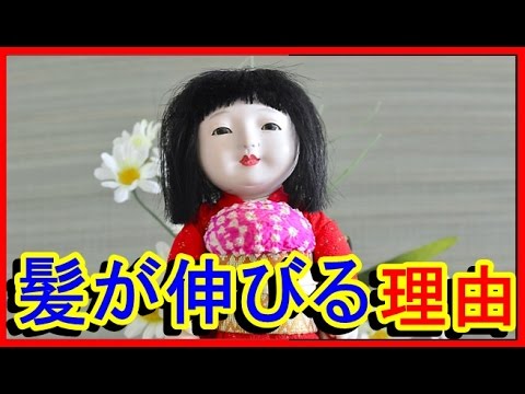 【衝撃】呪いの「お菊人形」の髪が伸びた本当の理由を科学者が解明