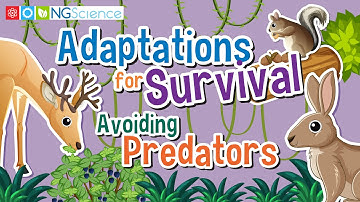 Adaptations for Survival – Avoiding Predators