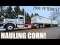 Trucking To The Elevator In The 2006 Peterbilt Day Cab And Loading Corn Into Grain Trains!!