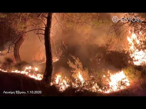 (23:50): Συγκλονιστικά στιγμιότυπα από τις παρυφές του πυρήνα της φωτιάς!