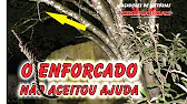 Caçadores de Histórias Sobrenaturais